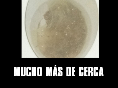 MAS DE CERCA